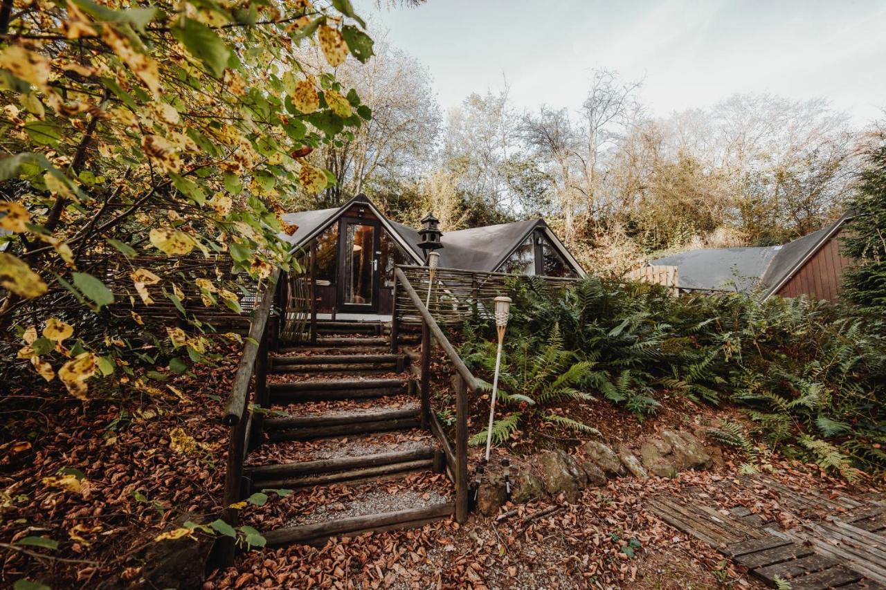 Chalet Scandinave Avec Sauna Ir - In The Woods Gesves Exteriér fotografie